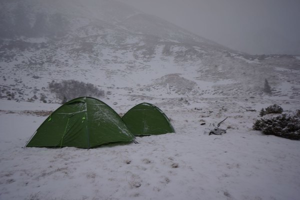 Новые палатки Red Point получили хорошие отзывы Хитрикова после первого тестирования в Карпатах