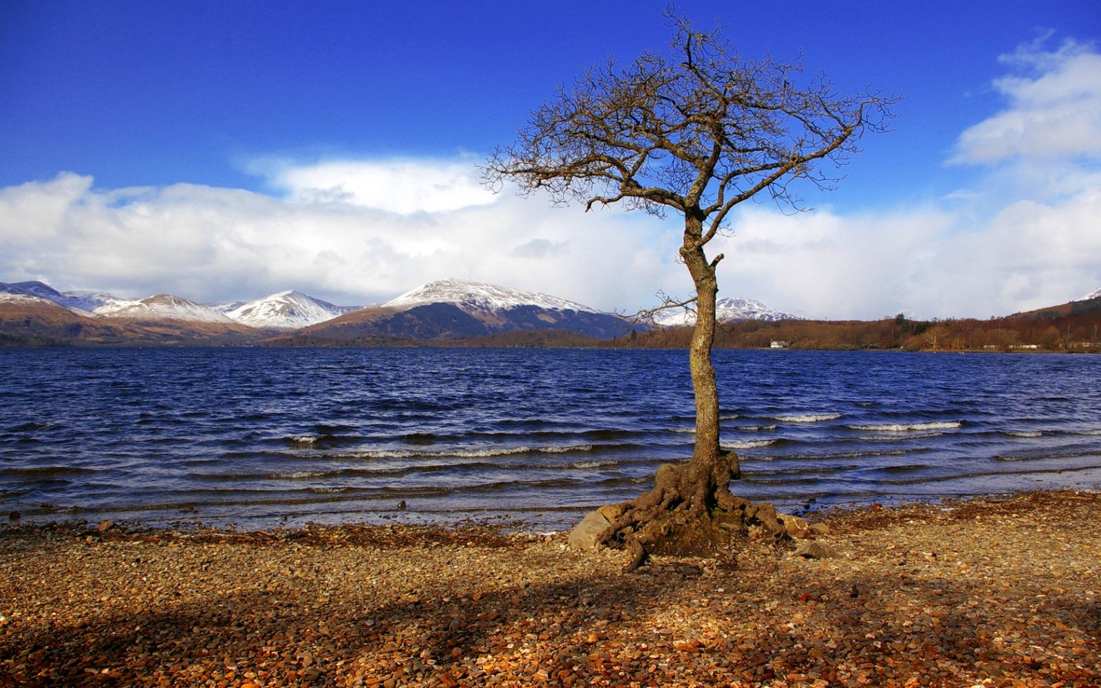 Озеро Лох-Ломонд ШотландияОзеро Лох-Ломонд