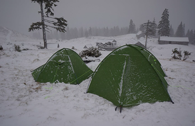 Какую оценку поставил Владимир Хитриков новым палаткам, как думаете?