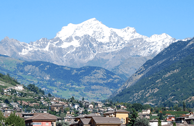 Альпійський тест 2014 року